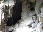 view in from entrance.JPG (203 KB)